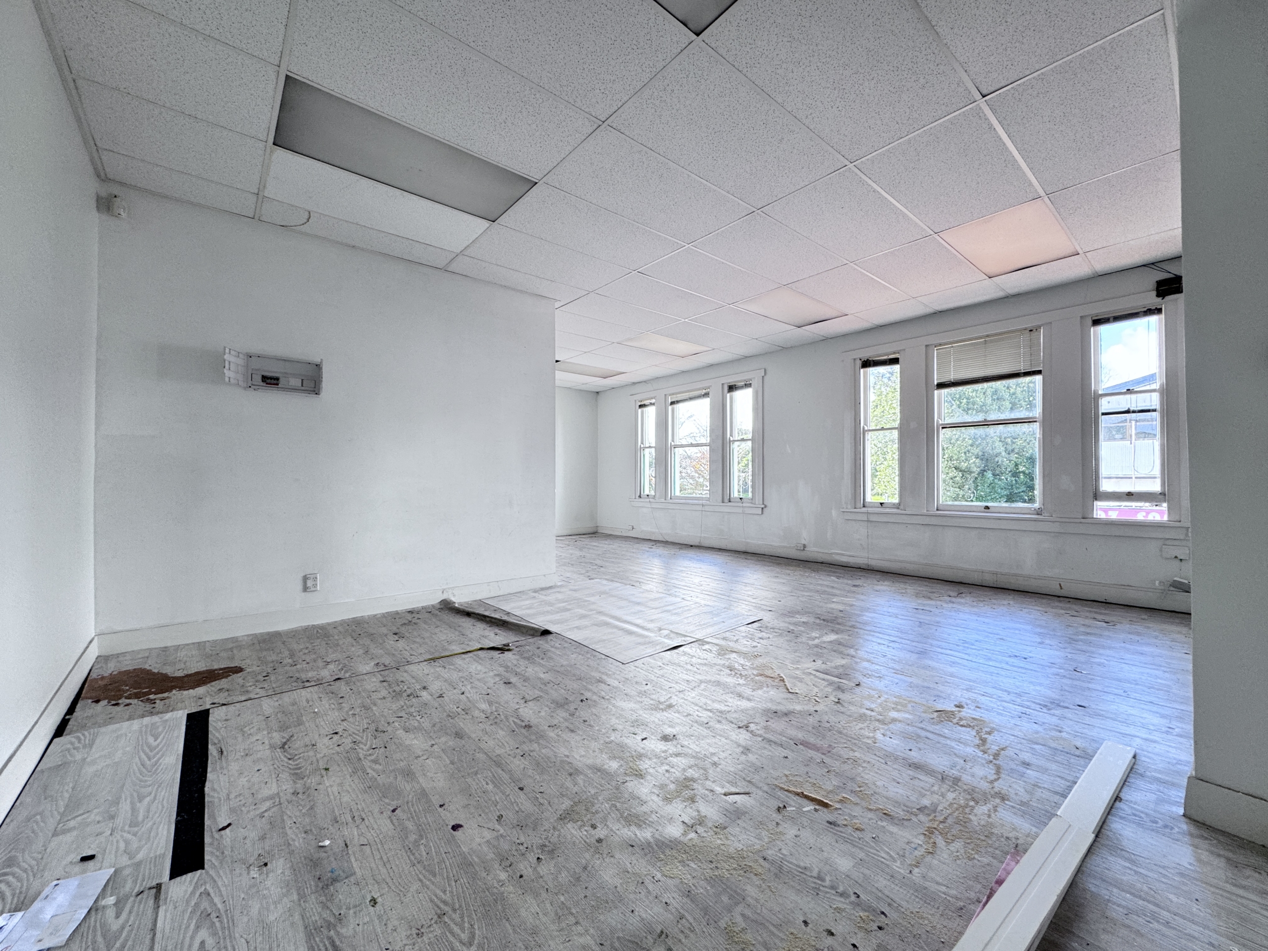 Self Contained office on Dominion Road