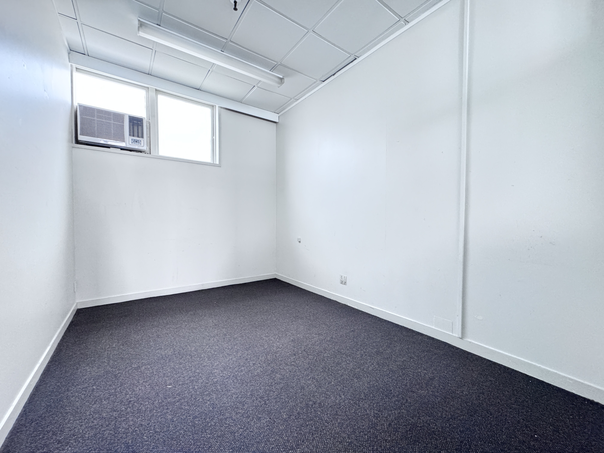 Newlynn Education centre space