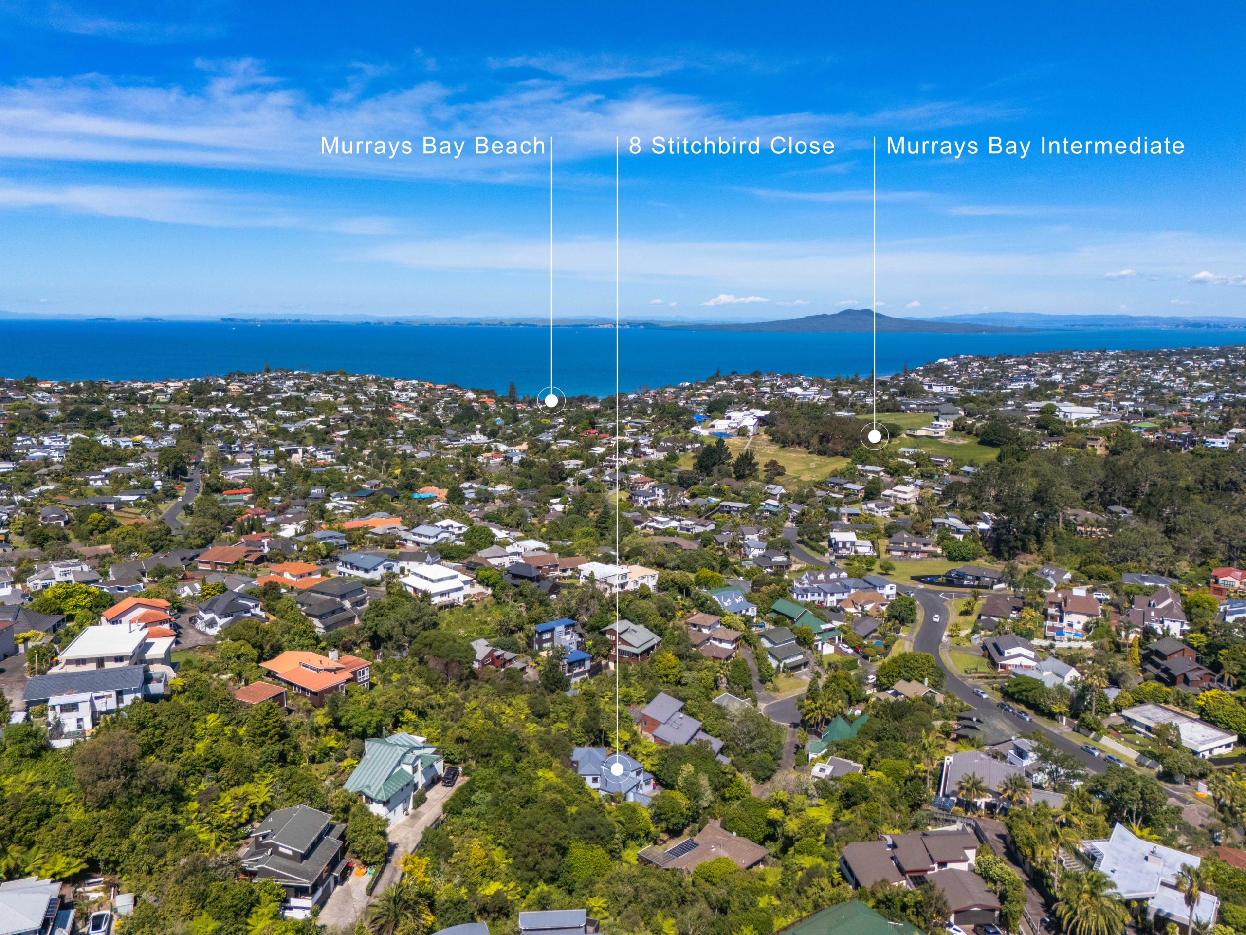 default Prime Rangitoto Zone Opportunity