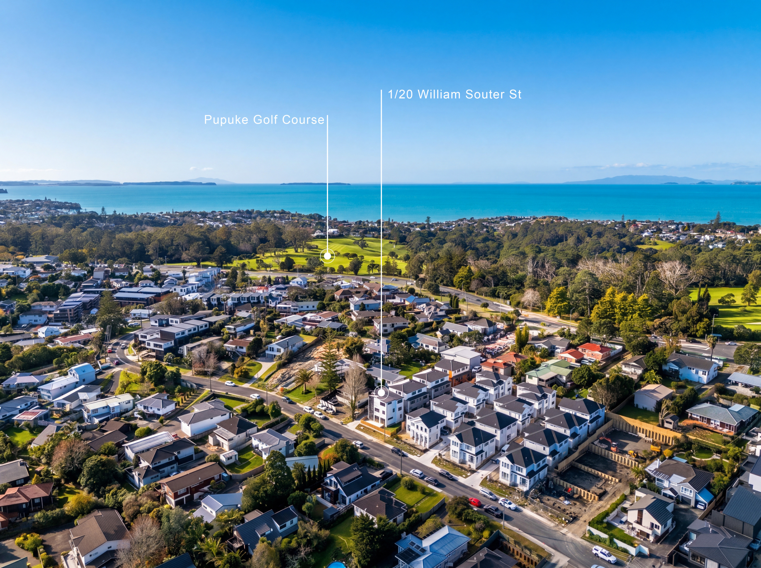 203531105__1779940632-264785-DRONE-2 Dual Living in Double Westlake Zone