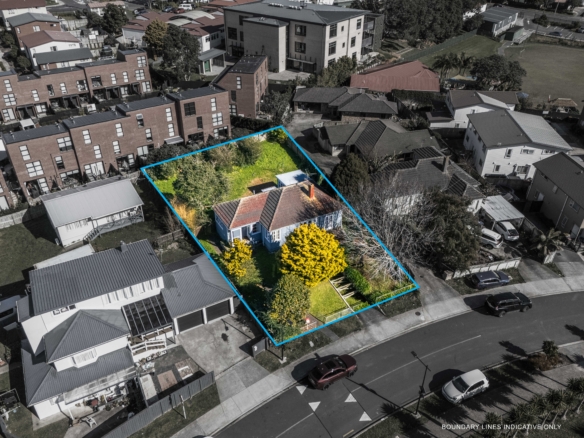 DEVELOPMENT POTENTIAL IN THE HEART OF MT ROSKILL